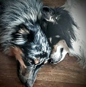 Meet your Posher, Cyndy